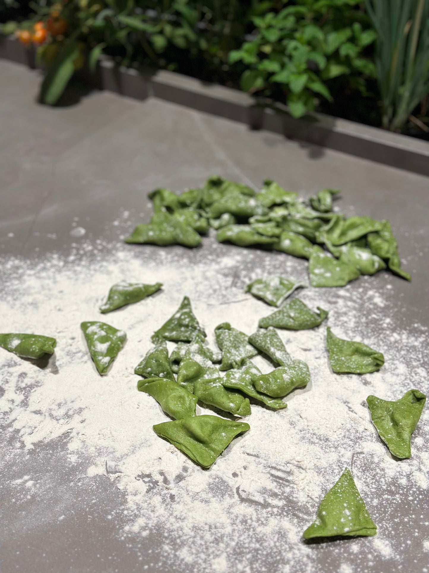 Ravioli Verde