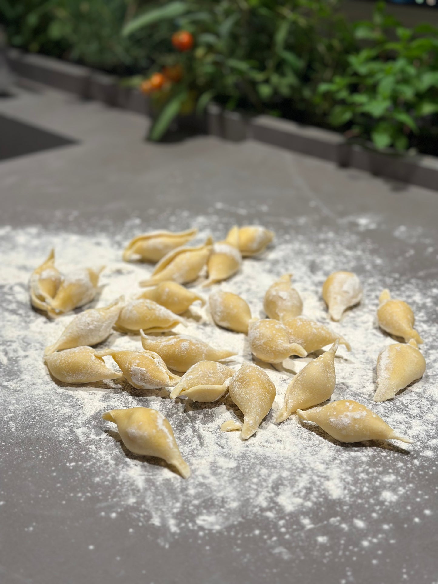Conchiglie